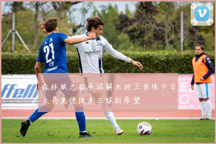 森林狼总裁承诺解决控卫困境今日交易里德换来三球新希望